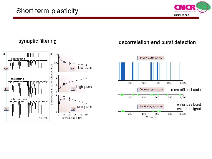 Short term plasticity synaptic filtering www. cncr. nl decorrelation and burst detection depressing low-pass