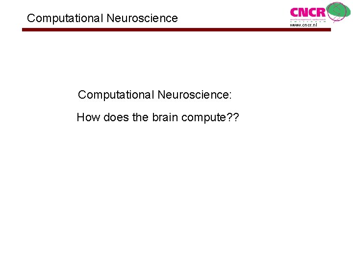 Computational Neuroscience: How does the brain compute? ? www. cncr. nl 