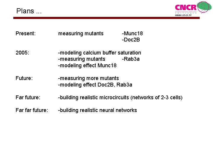 Plans. . . www. cncr. nl Present: measuring mutants -Munc 18 -Doc 2 B