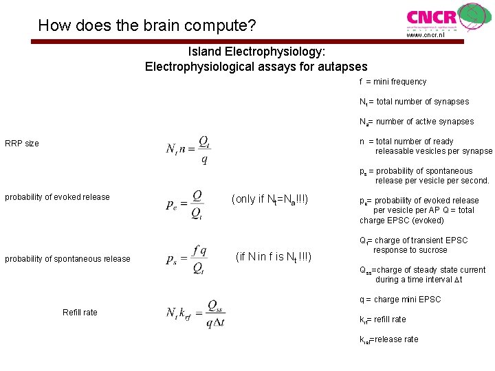 How does the brain compute? www. cncr. nl Island Electrophysiology: Electrophysiological assays for autapses