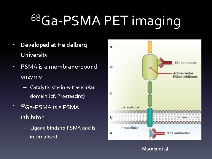 68 Ga-PSMA PET imaging • Developed at Heidelberg University • PSMA is a membrane-bound