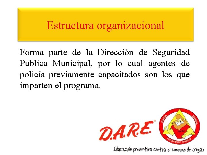 Estructura organizacional Forma parte de la Dirección de Seguridad Publica Municipal, por lo cual