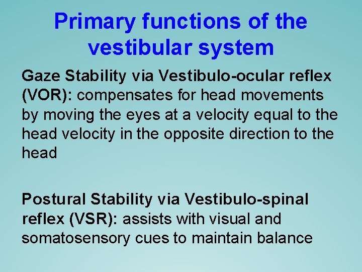 Primary functions of the vestibular system Gaze Stability via Vestibulo-ocular reflex (VOR): compensates for Primary functions of the vestibular system Gaze Stability via Vestibulo-ocular reflex (VOR): compensates for