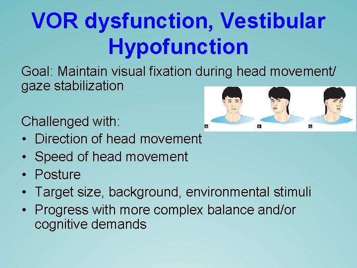 VOR dysfunction, Vestibular Hypofunction Goal: Maintain visual fixation during head movement/ gaze stabilization Challenged VOR dysfunction, Vestibular Hypofunction Goal: Maintain visual fixation during head movement/ gaze stabilization Challenged