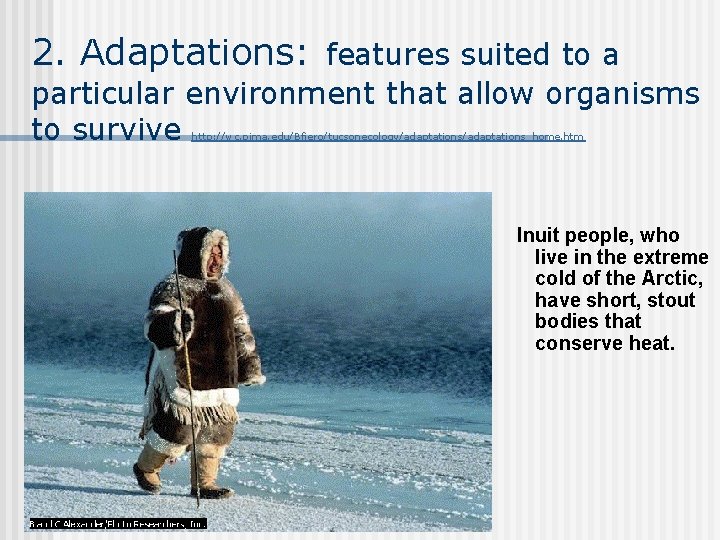 2. Adaptations: features suited to a particular environment that allow organisms to survive http: