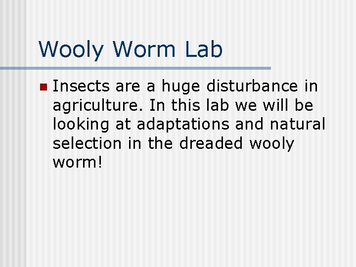 Wooly Worm Lab n Insects are a huge disturbance in agriculture. In this lab