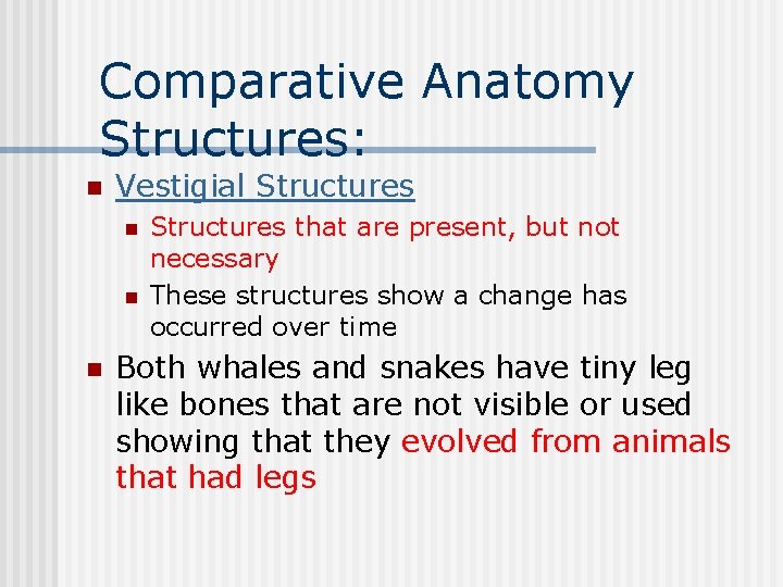 Comparative Anatomy Structures: n Vestigial Structures n n n Structures that are present, but