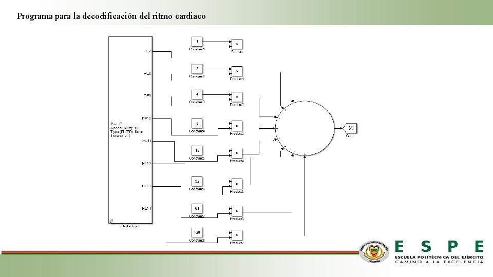 Programa para la decodificación del ritmo cardiaco 