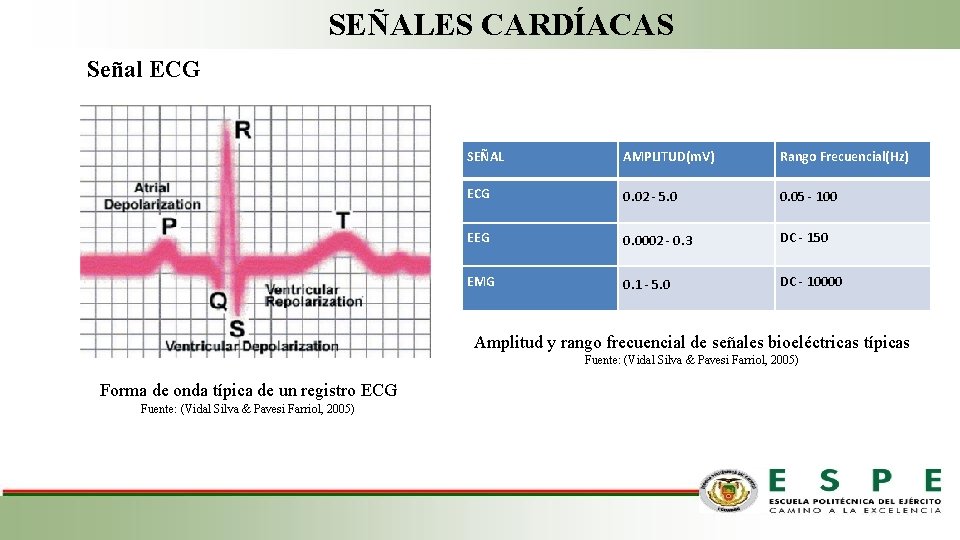 SEÑALES CARDÍACAS Señal ECG SEÑAL AMPLITUD(m. V) Rango Frecuencial(Hz) ECG 0. 02 - 5.