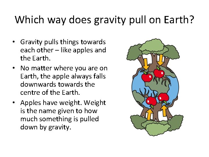 Which way does gravity pull on Earth? • Gravity pulls things towards each other