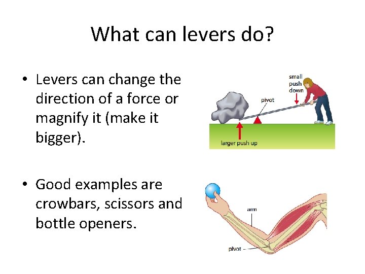 What can levers do? • Levers can change the direction of a force or