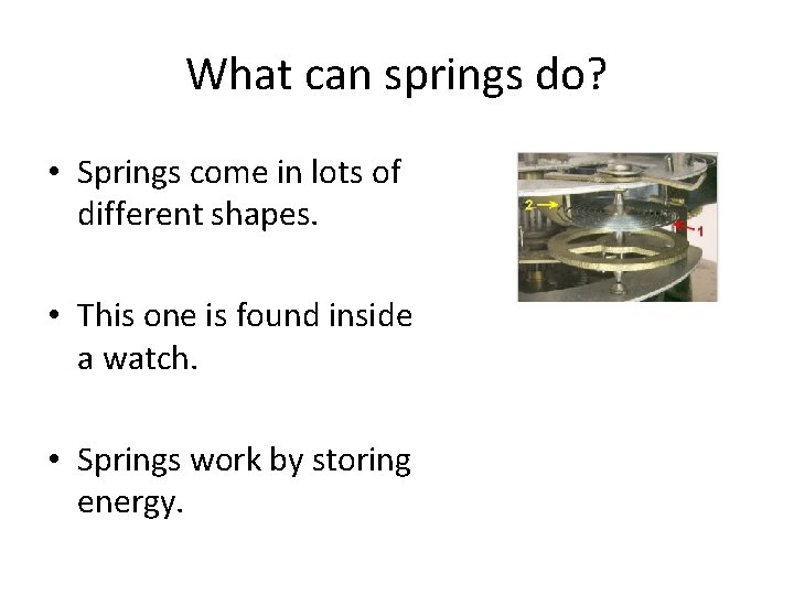 What can springs do? • Springs come in lots of different shapes. • This