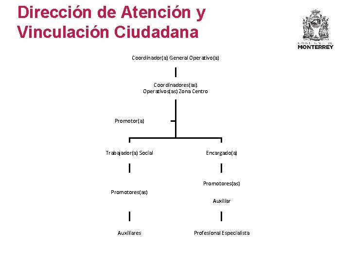 Dirección de Atención y Vinculación Ciudadana Coordinador(a) General Operativo(a) Coordinadores(as) Operativos(as) Zona Centro Promotor(a)