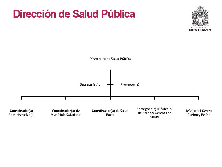 Dirección de Salud Pública Director(a) de Salud Pública Secretaria / o Coordinador(a) Administrativo(a) Coordinador(a)