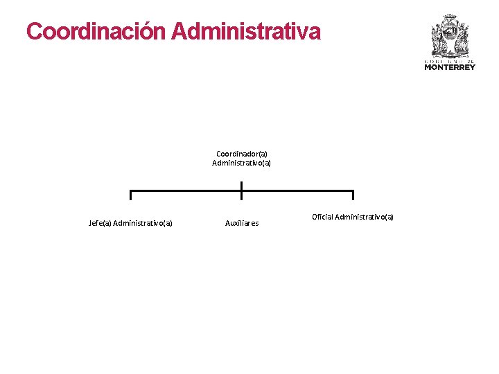 Coordinación Administrativa Coordinador(a) Administrativo(a) Jefe(a) Administrativo(a) Auxiliares Oficial Administrativo(a) 