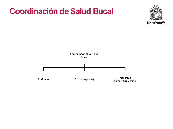 Coordinación de Salud Bucal Coordinador(a) de Salud Bucal Auxiliares Odontólogos(as) Auxiliares Administrativos(as) 