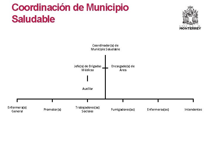 Coordinación de Municipio Saludable Coordinador(a) de Municipio Saludable Jefe(a) de Brigadas Médicas Encargado(a) de