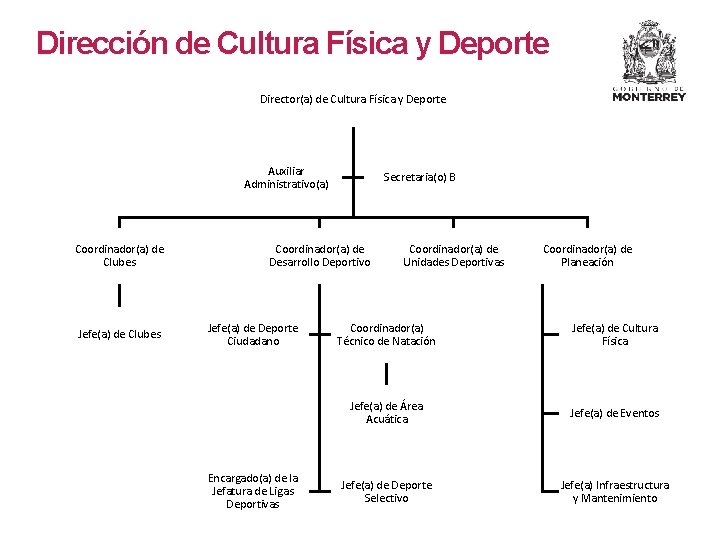 Dirección de Cultura Física y Deporte Director(a) de Cultura Física y Deporte Auxiliar Administrativo(a)