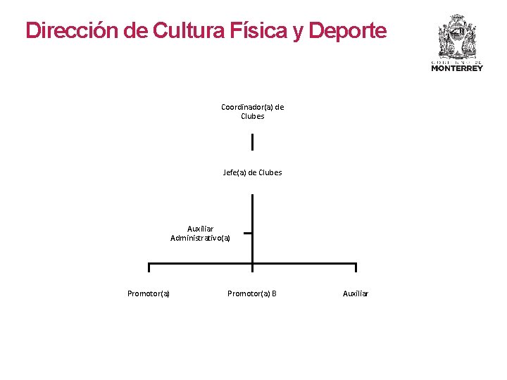 Dirección de Cultura Física y Deporte Coordinador(a) de Clubes Jefe(a) de Clubes Auxiliar Administrativo(a)