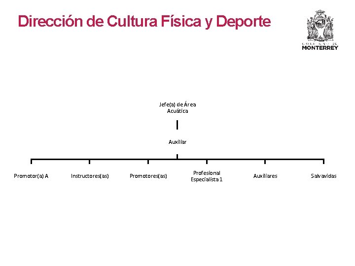 Dirección de Cultura Física y Deporte Jefe(a) de Área Acuática Auxiliar Promotor(a) A Instructores(as)