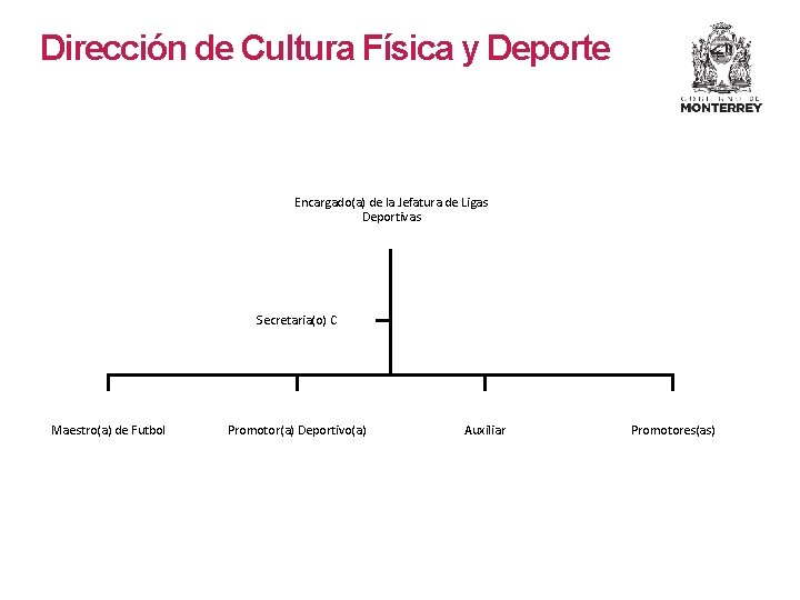 Dirección de Cultura Física y Deporte Encargado(a) de la Jefatura de Ligas Deportivas Secretaria(o)