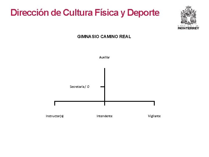 Dirección de Cultura Física y Deporte GIMNASIO CAMINO REAL Auxiliar Secretaria / O Instructor(a)