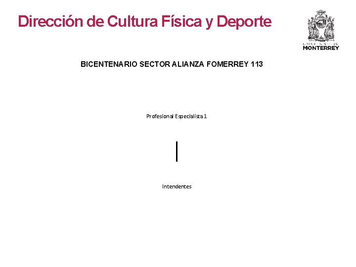 Dirección de Cultura Física y Deporte BICENTENARIO SECTOR ALIANZA FOMERREY 113 Profesional Especialista 1