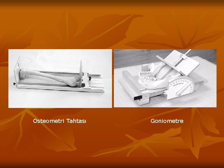 Osteometri Tahtası Goniometre 