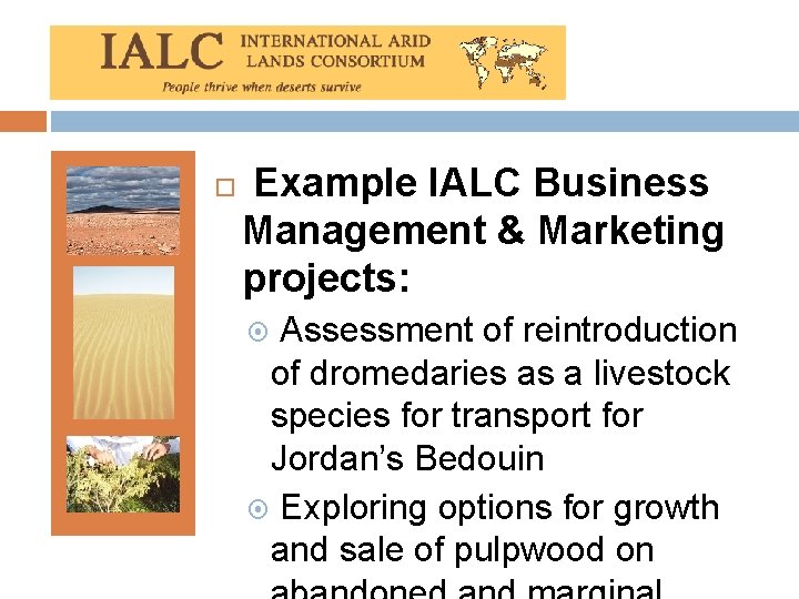  Example IALC Business Management & Marketing projects: Assessment of reintroduction of dromedaries as