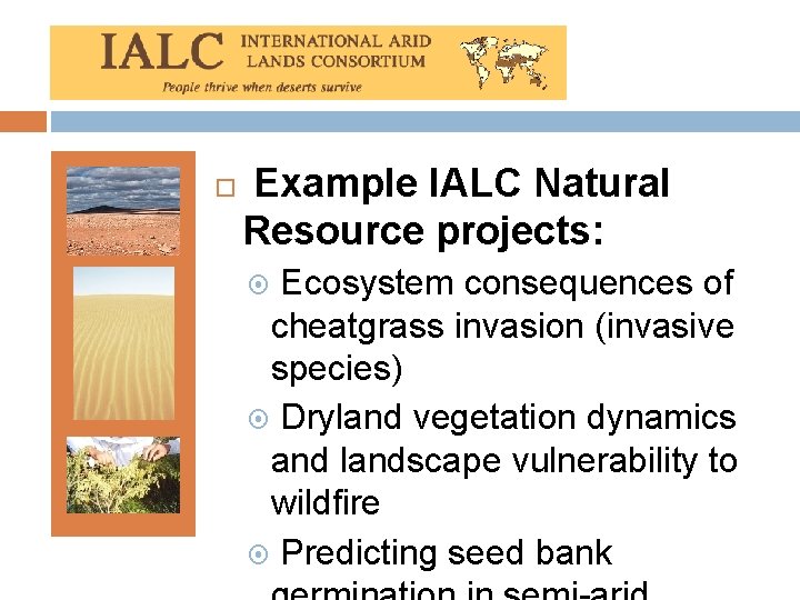  Example IALC Natural Resource projects: Ecosystem consequences of cheatgrass invasion (invasive species) Dryland