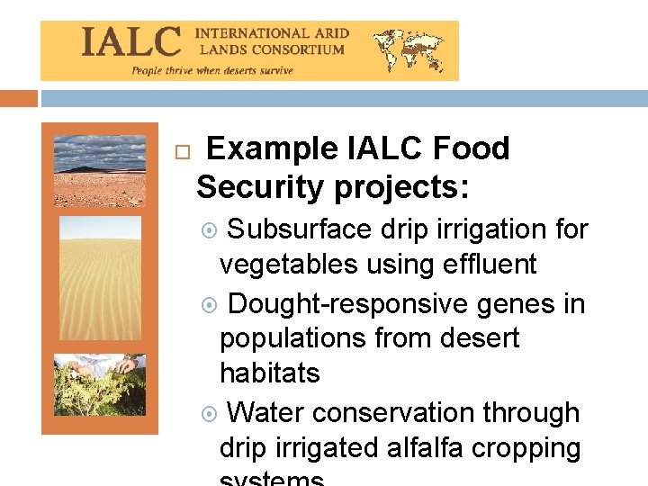  Example IALC Food Security projects: Subsurface drip irrigation for vegetables using effluent Dought-responsive