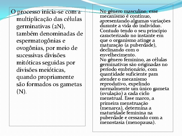 O processo inicia-se com a multiplicação das células germinativas (2 N), também denominadas de