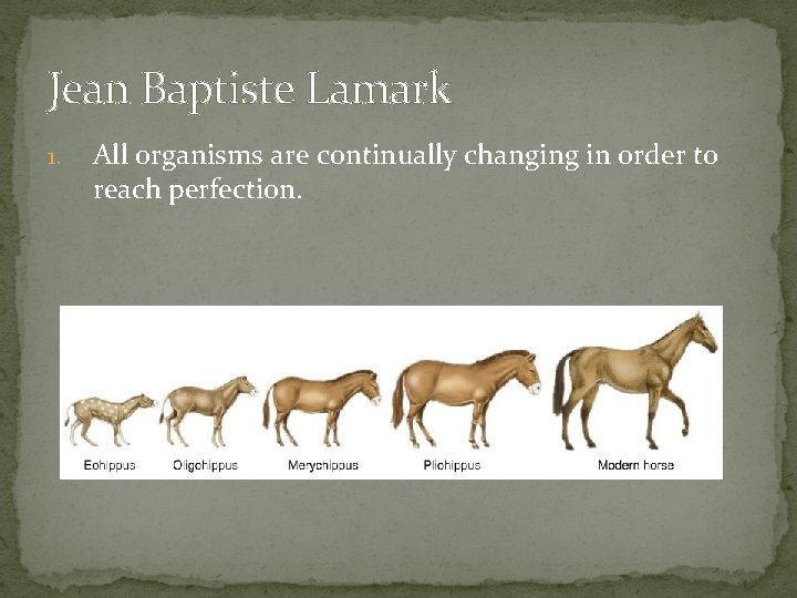 Jean Baptiste Lamark 1. All organisms are continually changing in order to reach perfection.