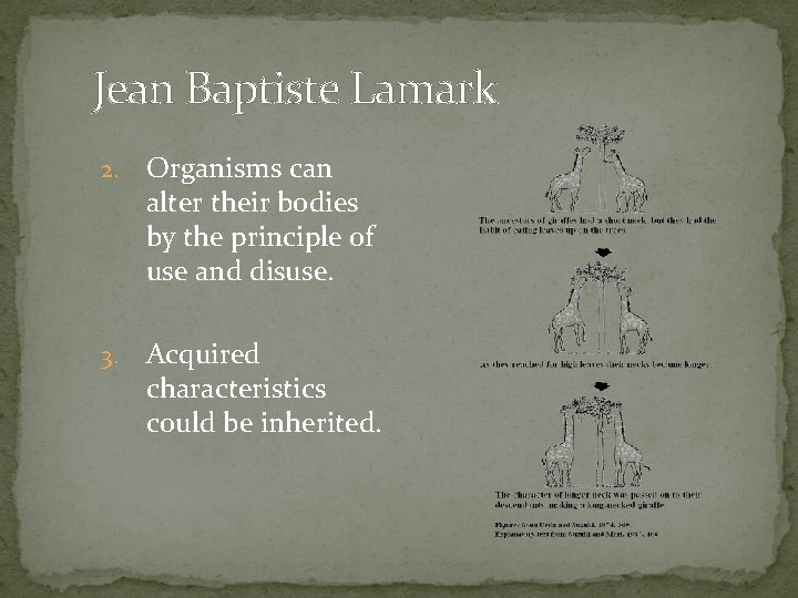 Jean Baptiste Lamark 2. Organisms can alter their bodies by the principle of use