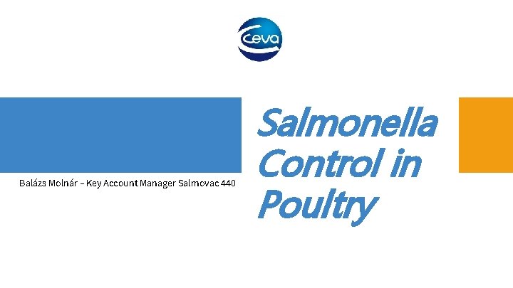 Balázs Molnár – Key Account Manager Salmovac 440 Salmonella Control in Poultry 