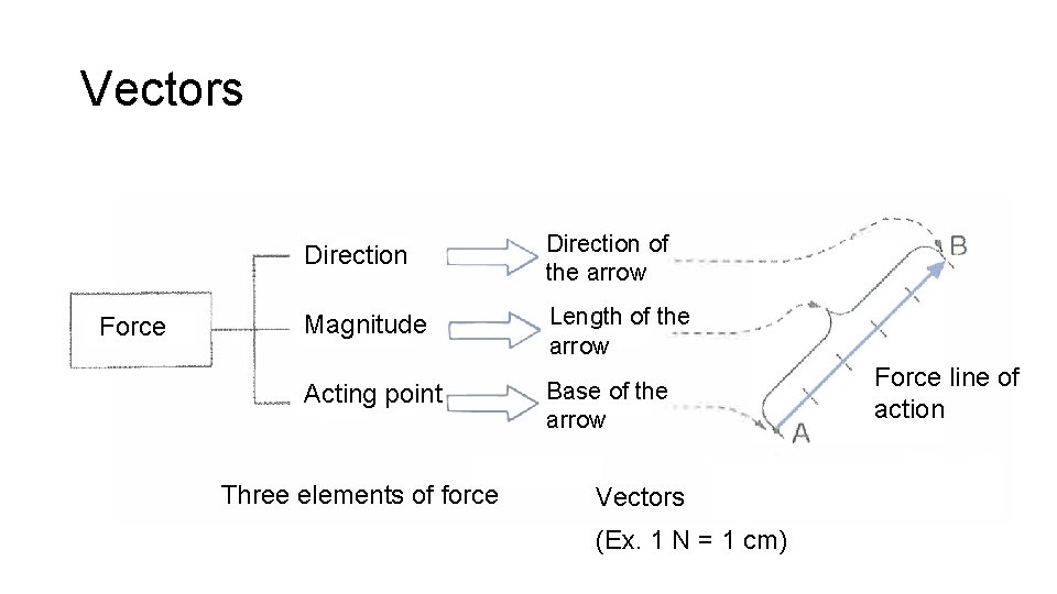 Vectors Force Direction of the arrow Magnitude Length of the arrow Acting point Base