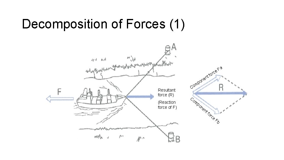 Decomposition of Forces (1) a nt ne Resultant force (R) (Reaction force of F)