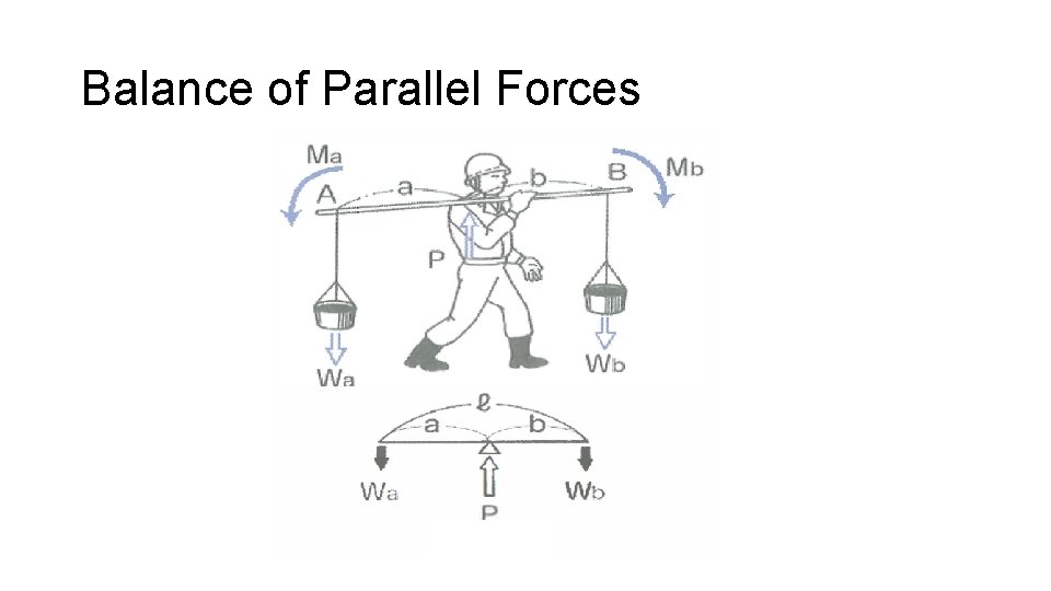 Balance of Parallel Forces 