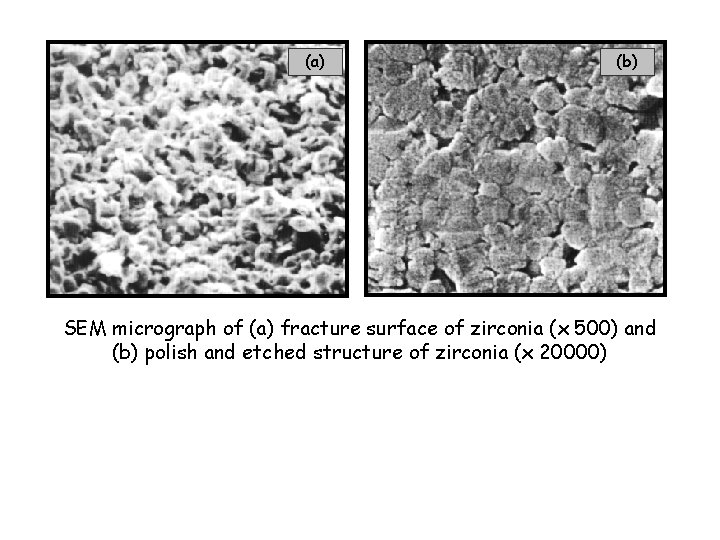 (a) (b) SEM micrograph of (a) fracture surface of zirconia (x 500) and (b)