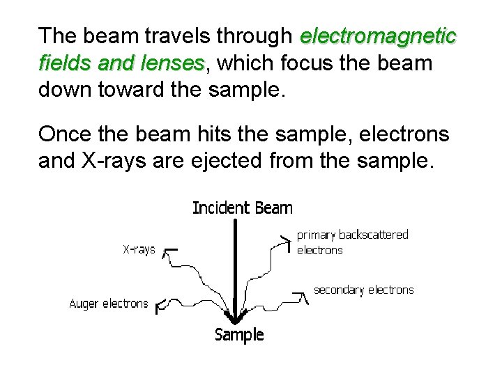 The beam travels through electromagnetic fields and lenses, which focus the beam lenses down