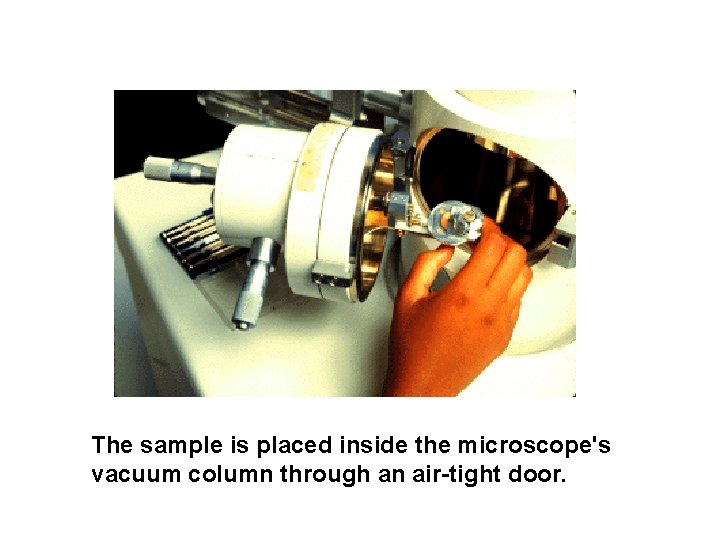 The sample is placed inside the microscope's vacuum column through an air-tight door. 