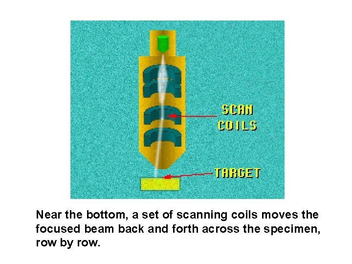 Near the bottom, a set of scanning coils moves the focused beam back and