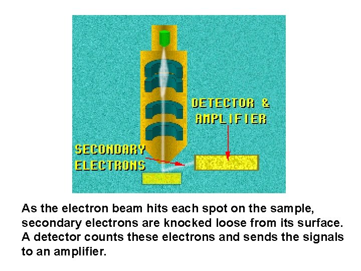 As the electron beam hits each spot on the sample, secondary electrons are knocked