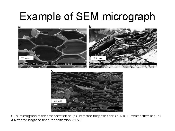 Example of SEM micrograph of the cross-section of: (a) untreated bagasse fiber, (b) Na.