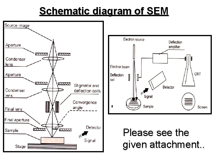 Schematic diagram of SEM Please see the given attachment. . 