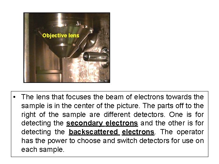 Objective lens • The lens that focuses the beam of electrons towards the sample