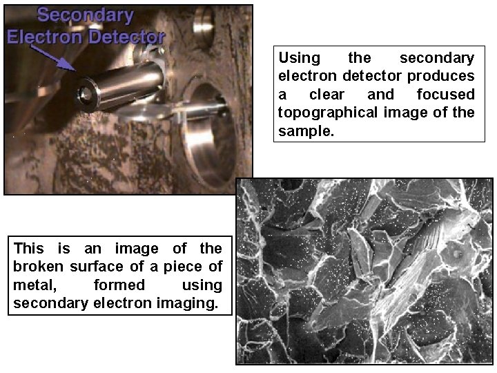 Using the secondary electron detector produces a clear and focused topographical image of the