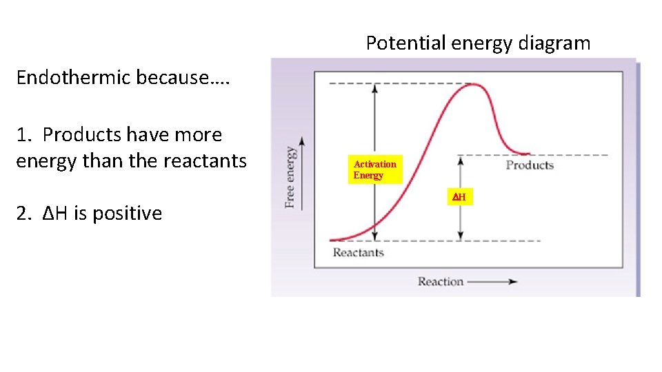 Potential energy diagram Endothermic because…. 1. Products have more energy than the reactants 2.