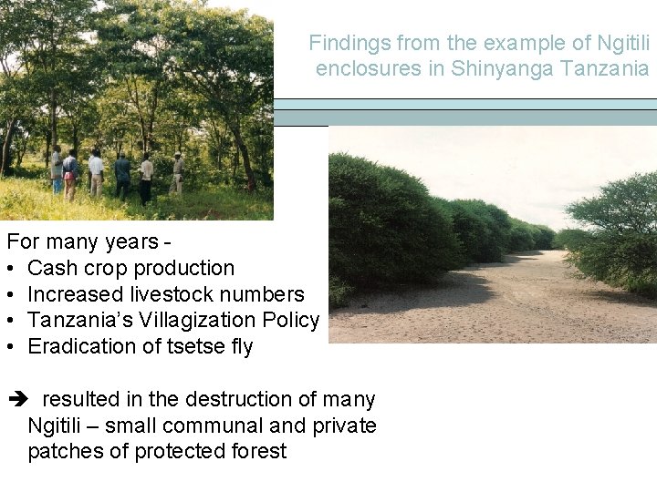 Findings from the example of Ngitili enclosures in Shinyanga Tanzania For many years •