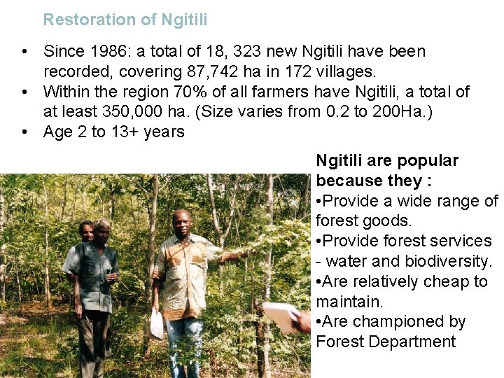 Restoration of Ngitili • Since 1986: a total of 18, 323 new Ngitili have